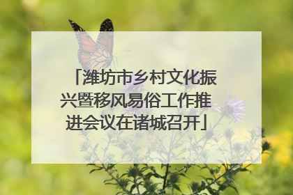 潍坊市乡村文化振兴暨移风易俗工作推进会议在诸城召开