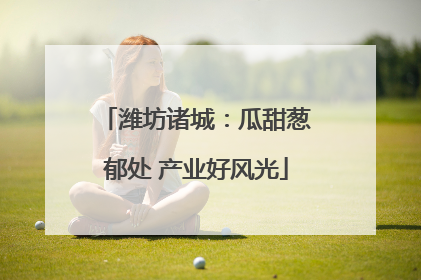 潍坊诸城：瓜甜葱郁处 产业好风光