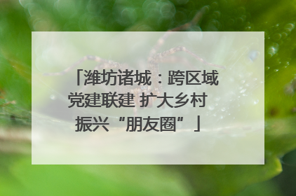 潍坊诸城：跨区域党建联建 扩大乡村振兴“朋友圈”