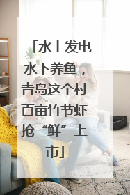 水上发电水下养鱼，青岛这个村百亩竹节虾抢“鲜”上市