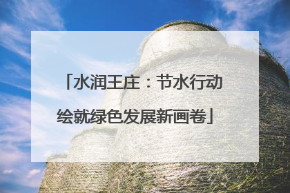 水润王庄：节水行动绘就绿色发展新画卷