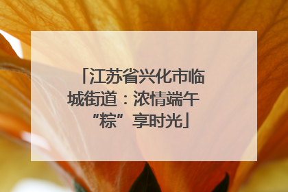 江苏省兴化市临城街道：浓情端午 “粽”享时光