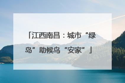 江西南昌：城市“绿岛”助候鸟“安家”