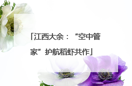 江西大余：“空中管家”护航稻虾共作