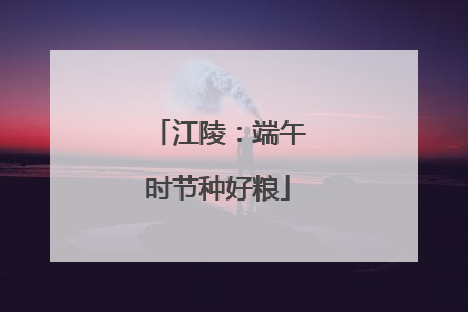 江陵：端午时节种好粮