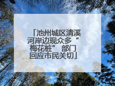 池州城区清溪河岸边现众多“梅花桩” 部门回应市民关切