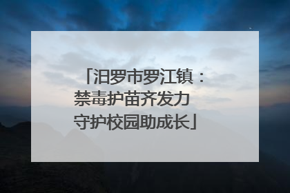 汨罗市罗江镇：禁毒护苗齐发力 守护校园助成长