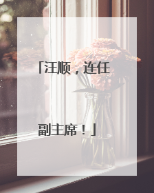 汪顺，连任副主席！