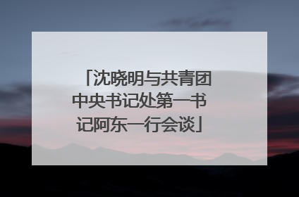 沈晓明与共青团中央书记处第一书记阿东一行会谈