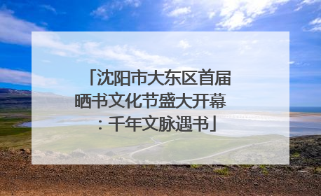 沈阳市大东区首届晒书文化节盛大开幕：千年文脉遇书