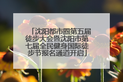 沈阳都市圈第五届徒步大会暨沈阳市第七届全民健身国际徒步节报名通道开启