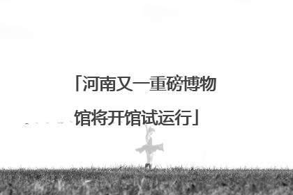 河南又一重磅博物馆将开馆试运行
