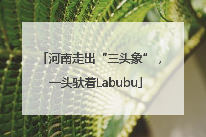 河南走出“三头象”，一头驮着Labubu