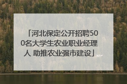 河北保定公开招聘500名大学生农业职业经理人 助推农业强市建设