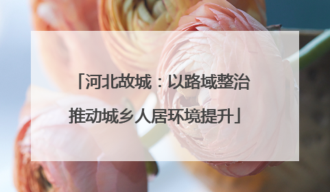 河北故城：以路域整治推动城乡人居环境提升