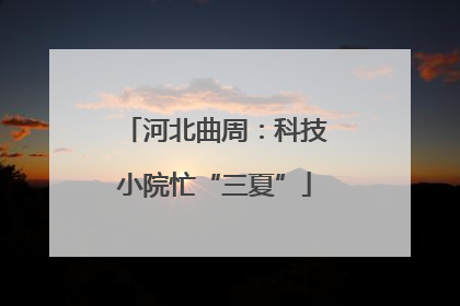 河北曲周：科技小院忙“三夏”