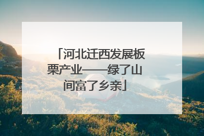河北迁西发展板栗产业——绿了山间富了乡亲