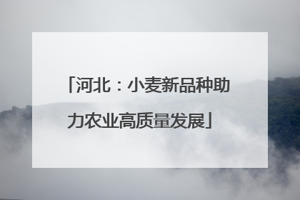 河北：小麦新品种助力农业高质量发展