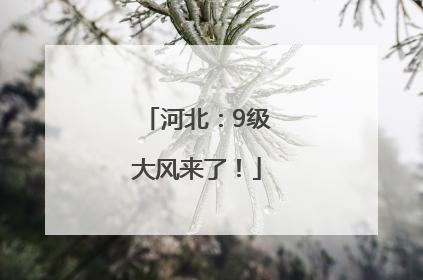 河北：9级大风来了！