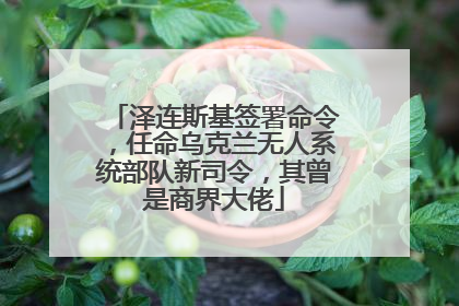泽连斯基签署命令，任命乌克兰无人系统部队新司令，其曾是商界大佬
