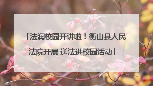 法润校园开讲啦！衡山县人民法院开展 送法进校园活动