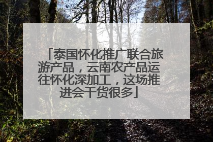泰国怀化推广联合旅游产品，云南农产品运往怀化深加工，这场推进会干货很多