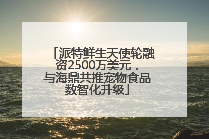 派特鲜生天使轮融资2500万美元，与海鼎共推宠物食品数智化升级