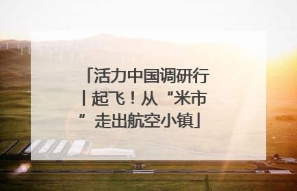 活力中国调研行丨起飞！从“米市”走出航空小镇