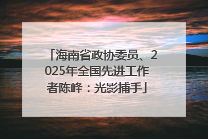 海南省政协委员、2025年全国先进工作者陈峰：光影捕手