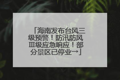海南发布台风三级预警！防汛防风Ⅲ级应急响应！部分景区已停业→