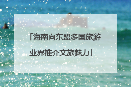 海南向东盟多国旅游业界推介文旅魅力