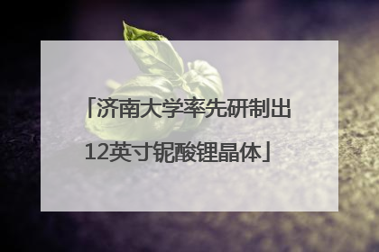 济南大学率先研制出12英寸铌酸锂晶体