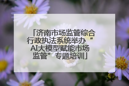 济南市场监管综合行政执法系统举办“AI大模型赋能市场监管”专题培训