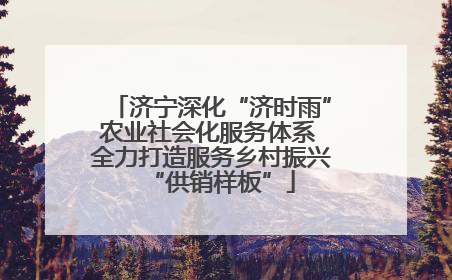济宁深化“济时雨”农业社会化服务体系 全力打造服务乡村振兴“供销样板”