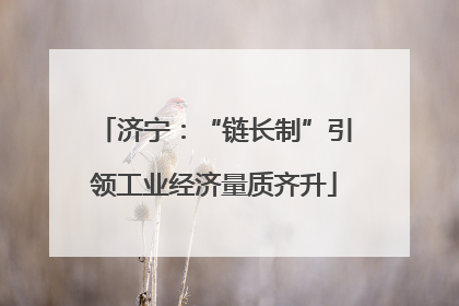 济宁：“链长制”引领工业经济量质齐升