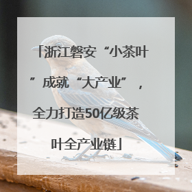 浙江磐安“小茶叶”成就“大产业”，全力打造50亿级茶叶全产业链
