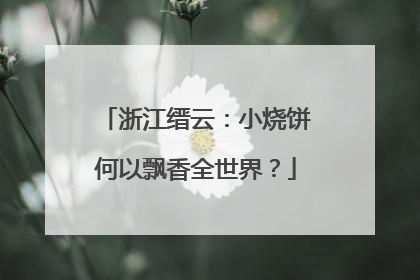 浙江缙云：小烧饼何以飘香全世界？