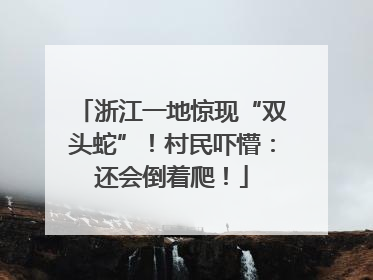 浙江一地惊现“双头蛇”！村民吓懵：还会倒着爬！