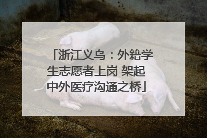 浙江义乌：外籍学生志愿者上岗 架起中外医疗沟通之桥