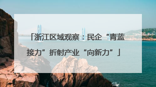 浙江区域观察：民企“青蓝接力”折射产业“向新力”