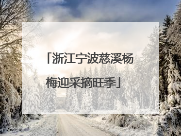 浙江宁波慈溪杨梅迎采摘旺季