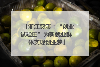 浙江慈溪：“创业试验田”为新就业群体实现创业梦