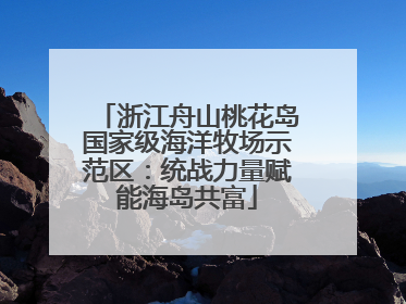 浙江舟山桃花岛国家级海洋牧场示范区：统战力量赋能海岛共富