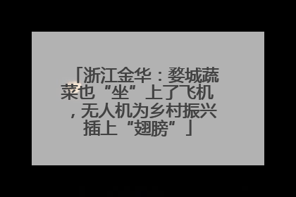浙江金华：婺城蔬菜也“坐”上了飞机，无人机为乡村振兴插上“翅膀”