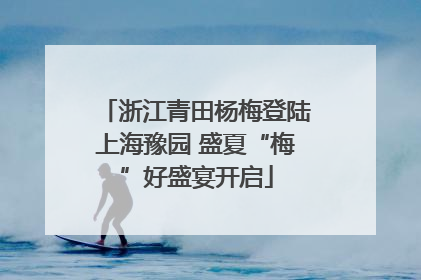 浙江青田杨梅登陆上海豫园 盛夏“梅”好盛宴开启