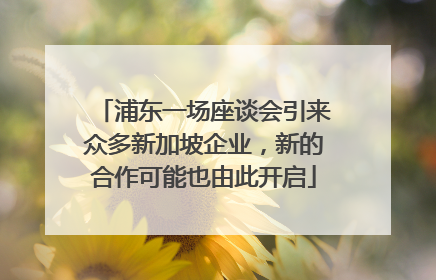浦东一场座谈会引来众多新加坡企业，新的合作可能也由此开启