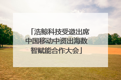 浩鲸科技受邀出席中国移动中资出海数智赋能合作大会