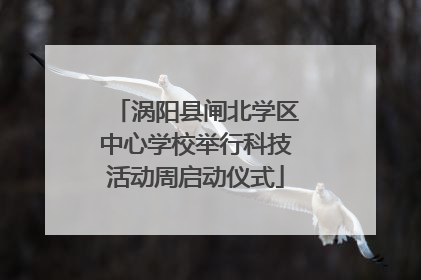 涡阳县闸北学区中心学校举行科技活动周启动仪式