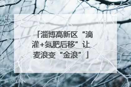 淄博高新区“滴灌+氮肥后移”让麦浪变“金浪”