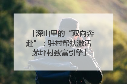 深山里的“双向奔赴”：驻村帮扶激活茅坪村致富引擎